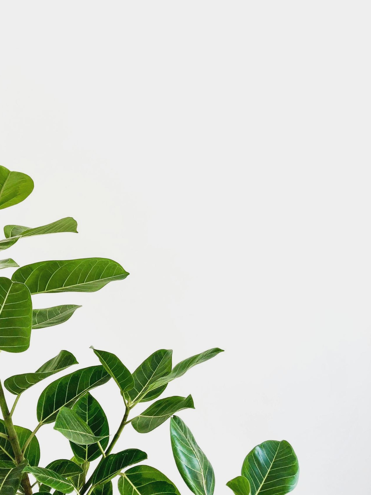 Interazione utente VR